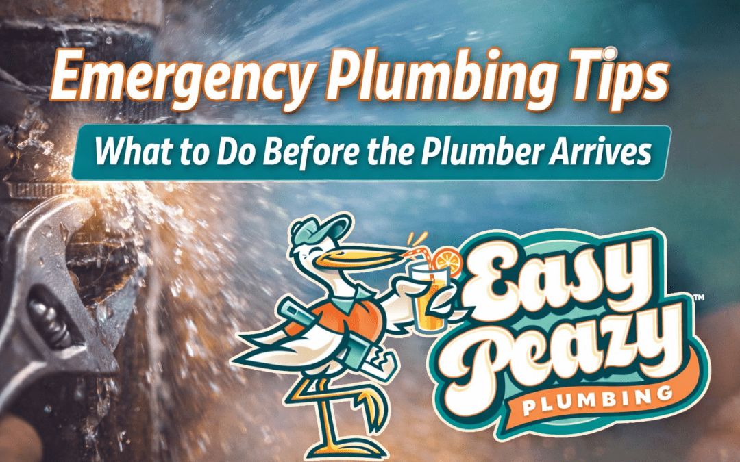 Emergency Plumbing Tips: What to Do Before the Plumber Arrives